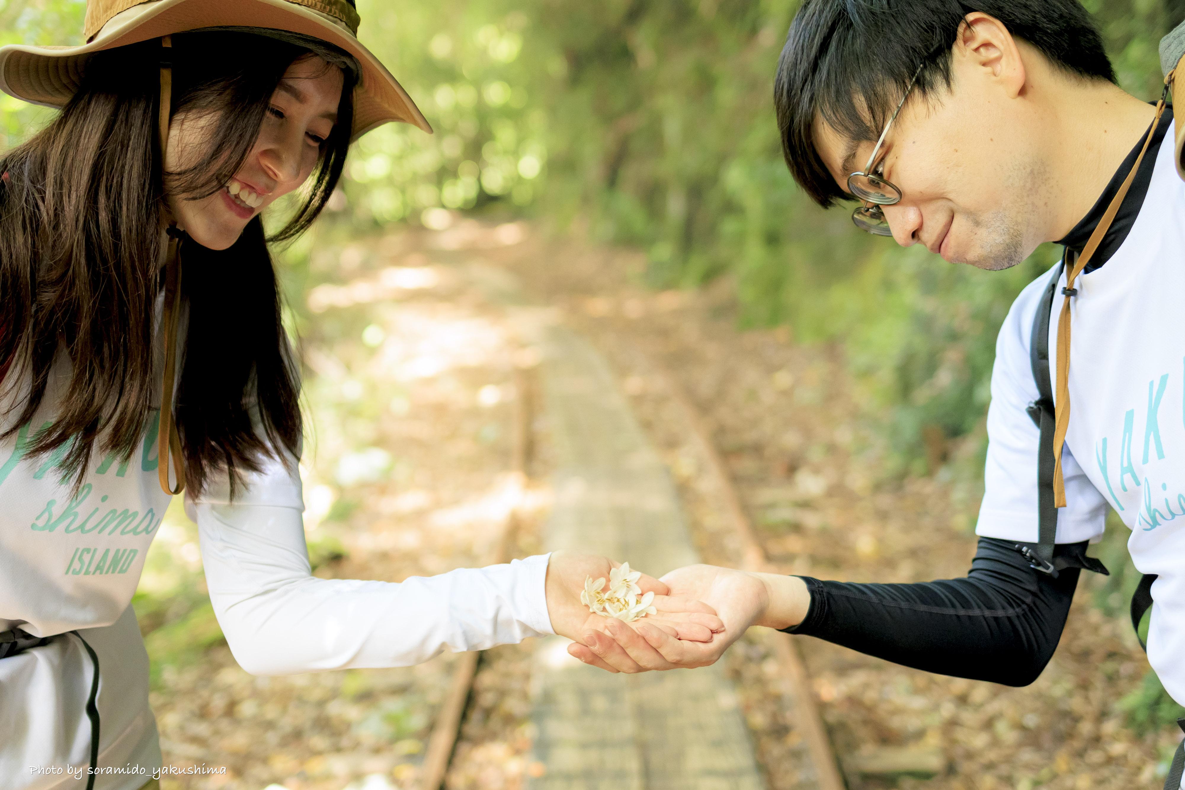 新婚旅行を楽しむ2人の写真