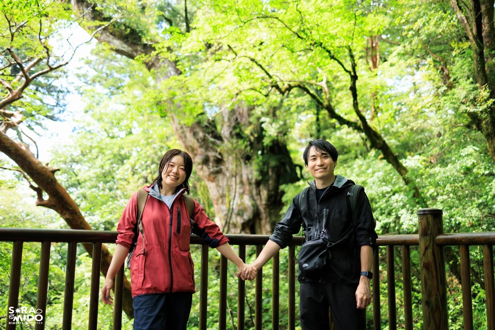 深い緑に包まれた屋久島の森の中で、縄文杉を背景に手をつなぎ笑顔の2人のカップル。