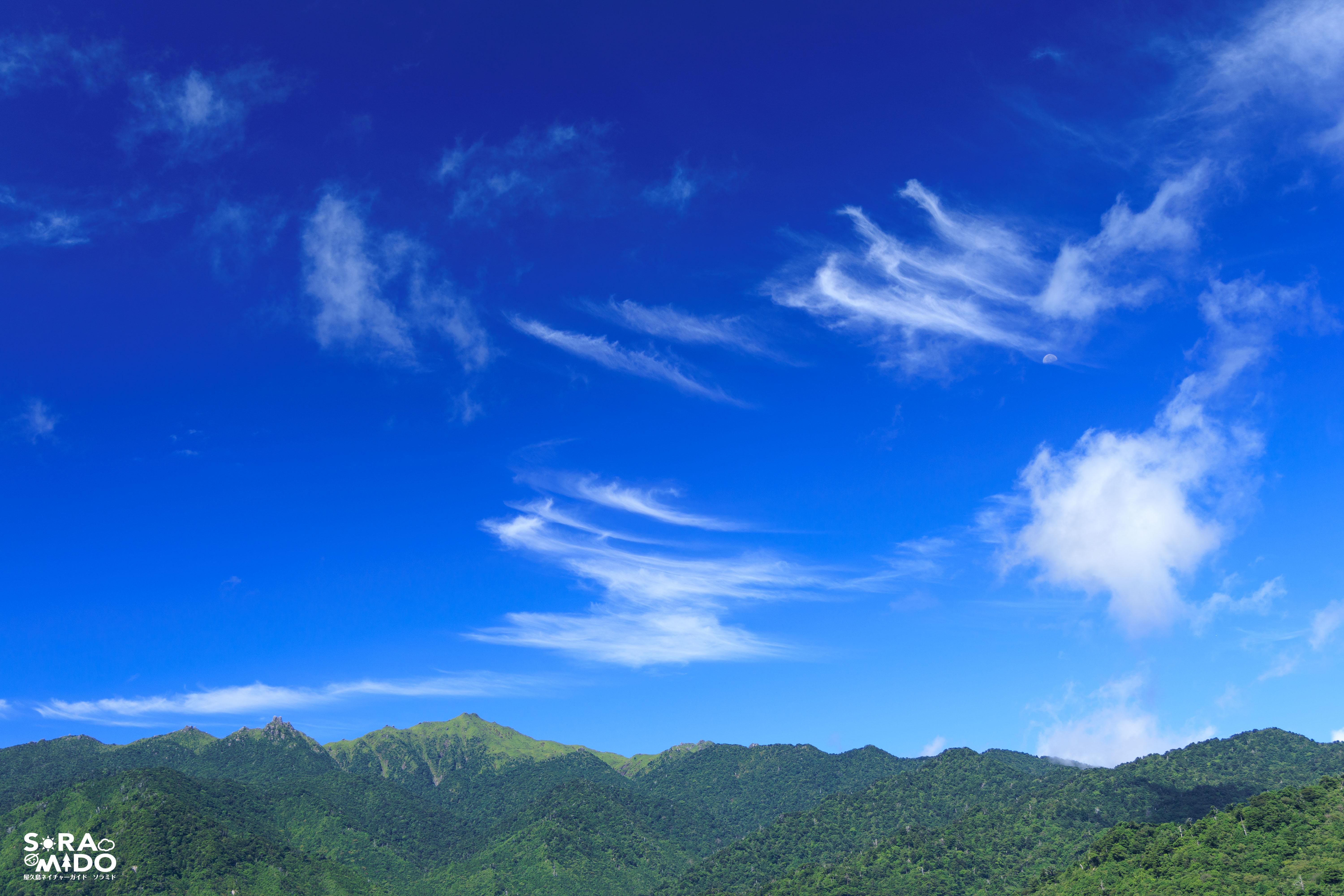 太鼓岩から望む夏の青空と緑豊かな宮之浦岳の山並み