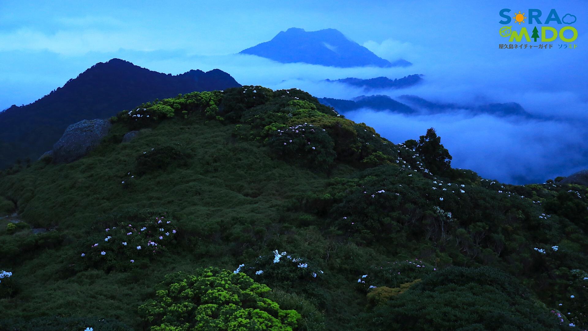 早朝、雲の上に見えるのは国割岳。